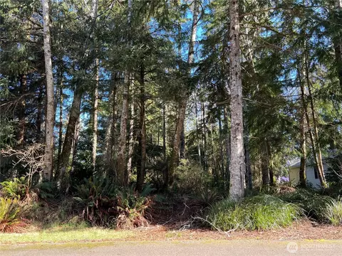 336 Hyde Ct NE, Ocean Shores, WA 98569
