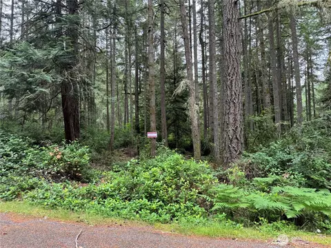 11308 114th Street Ct, Anderson Island, WA 98303