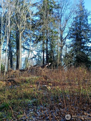 49 K Tulalip Way, Hat Island, WA 98206