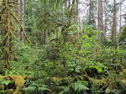 123 N Us Highway 101, Shelton, WA 98584