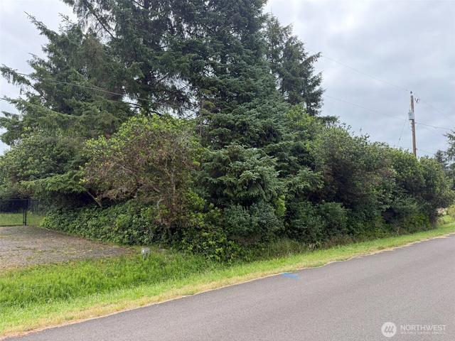 186 Wishkah St SW, Ocean Shores, WA 98569