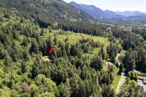 0 Nnnn Mt Tahoma Canyon Rd E, Ashford, WA 98304