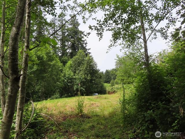 0 Nnn Coleman Rd, Mossyrock, WA 98564