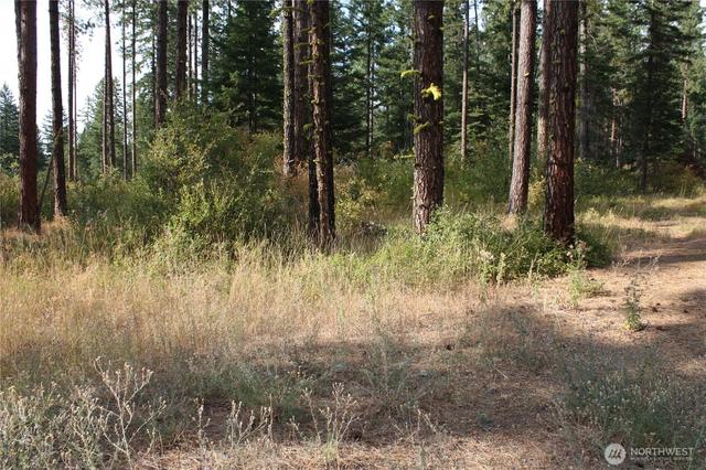 901 Horvatt Rd, Roslyn, WA 98941