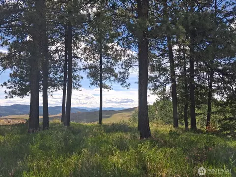 1 Fletcherrd 225 Rd, Oroville, WA 98840