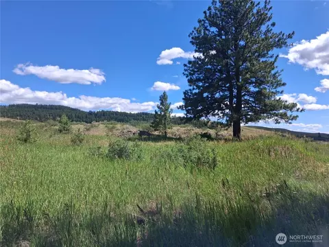 1 Fletcherrd 225 Rd, Oroville, WA 98840