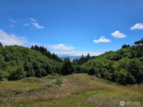 31 Nn Discovery Ct, Ilwaco, WA 98624