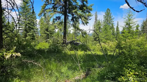 432 X Bussard Lake Rd, Loon Lake, WA 99148