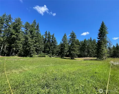 0 Nn Lynch Rd, Mccleary, WA 98557