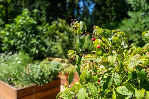 Other - 1127 204th Pl SE, Bothell, WA 98012 photo 7 of 8