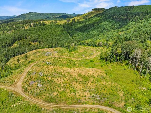 0 Lot C Holcomb Rd, Kelso, WA 98626