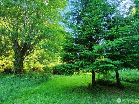234 Markum Ln, Winlock, WA 98596 photo 21