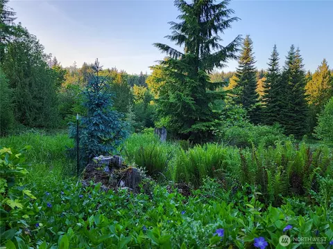234 Markum Ln, Winlock, WA 98596 photo 32