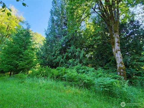 234 Markum Ln, Winlock, WA 98596 photo 27