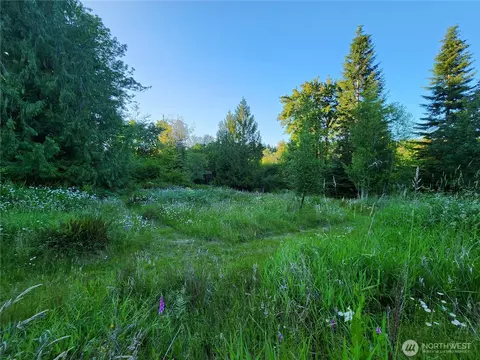 234 Markum Ln, Winlock, WA 98596 photo 25