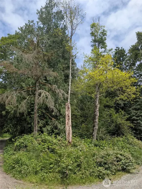 25314 Ebey Mountain Rd, Arlington, WA 98223