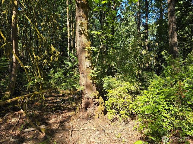 655 E Pointes Dr E, Shelton, WA 98584