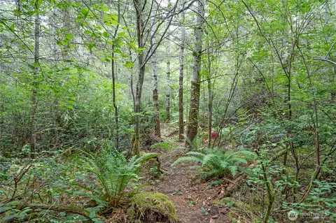 0 E Tepee Ln, Belfair, WA 98528 photo 7