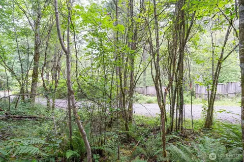 0 E Tepee Ln, Belfair, WA 98528 photo 5