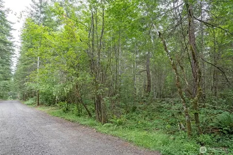 0 E Tepee Ln, Belfair, WA 98528 photo 3