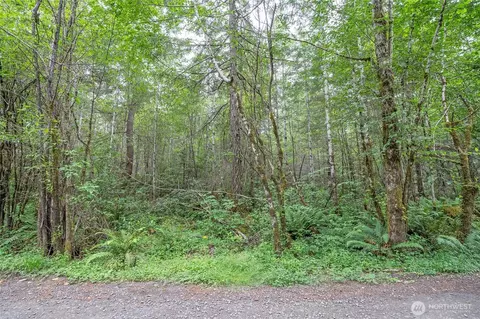 0 E Tepee Ln, Belfair, WA 98528 photo 4