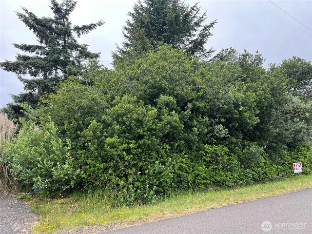 342 N Razor Clam Dr, Ocean Shores, WA 98569