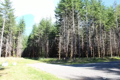 152 Onalaska, Onalaska, WA 98570 photo 3
