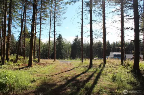 152 Onalaska, Onalaska, WA 98570 photo 23