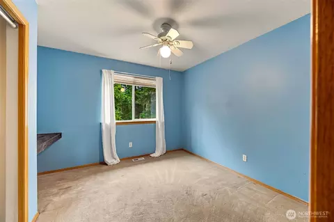 29115 11th Ave E, Roy, WA 98580 photo 19