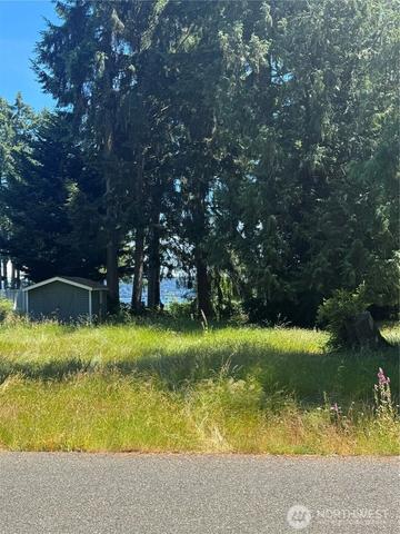 10409 108th St, Anderson Island, WA 98303