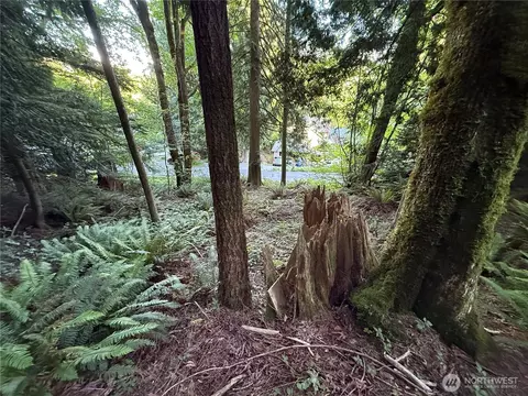 767 West Rd, Sedro Woolley, WA 98284
