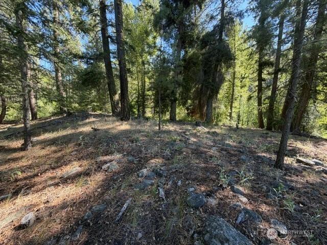 0 E Buttermilk Creek Rd, Twisp, WA 98856