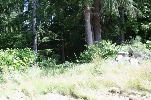 0 Forsyth Rainier, Aberdeen, WA 98520