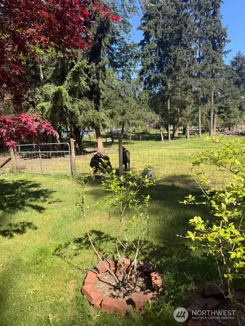22903 61st Ave E, Spanaway, WA 98387 photo 13