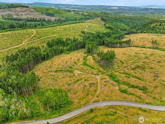 6 Lot 6 Parker Rd, Toutle, WA 98649