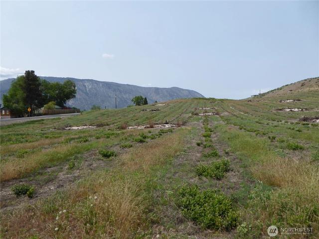 5 Roses View Ln, Manson, WA 98831
