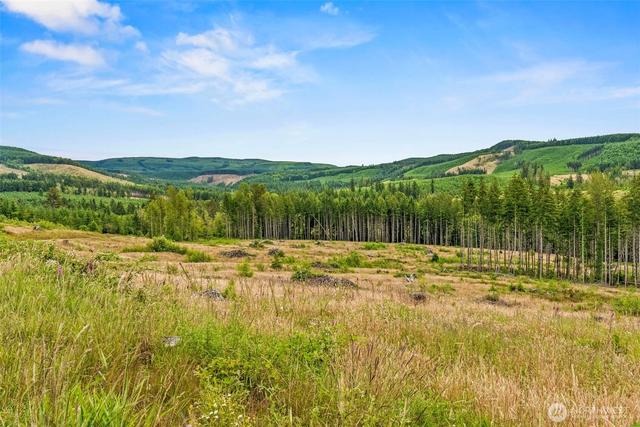 3 Lot 3 Parker Rd, Toutle, WA 98649