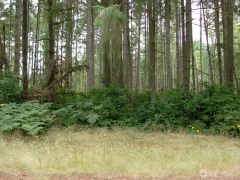 10810 Madrona Dr, Anderson Island, WA 98303