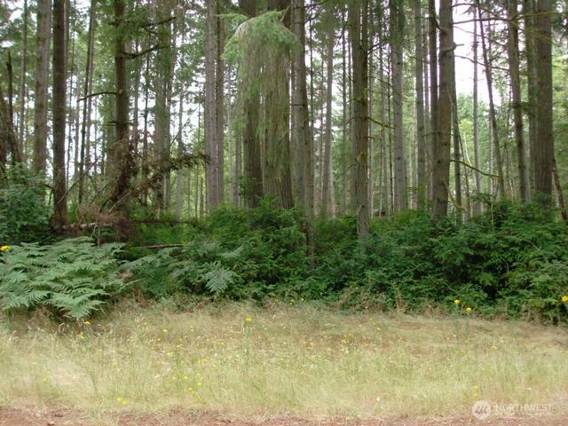 10810 Madrona Dr, Anderson Island, WA 98303