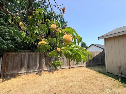 Exterior - 41 Livengood Ln, Sequim, WA 98382 photo 9 of 15