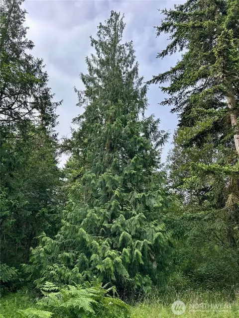 3202 Cliff St, Port Townsend, WA 98368