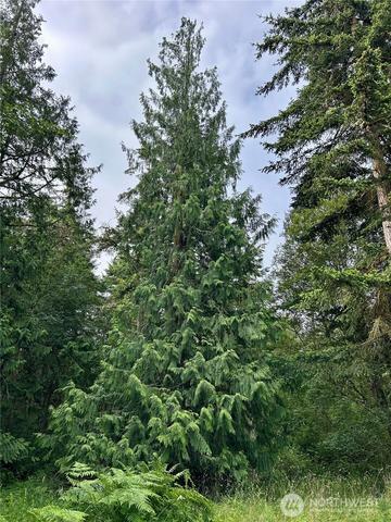 3202 Cliff St, Port Townsend, WA 98368