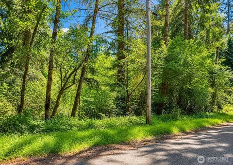 10515 Edgewood Dr, Anderson Island, WA 98303