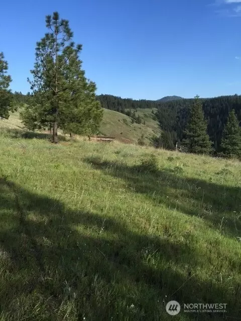 0 Bare Land, Waitsburg, WA 99361
