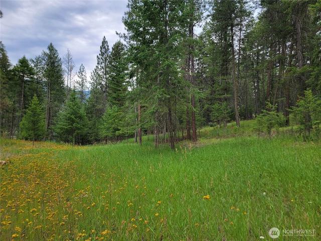 40 Evergreen Dr, Curlew, WA 99118