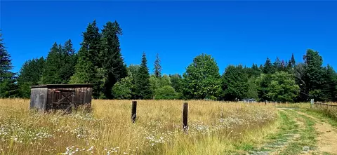 413 Manners Rd, Rochester, WA 98579