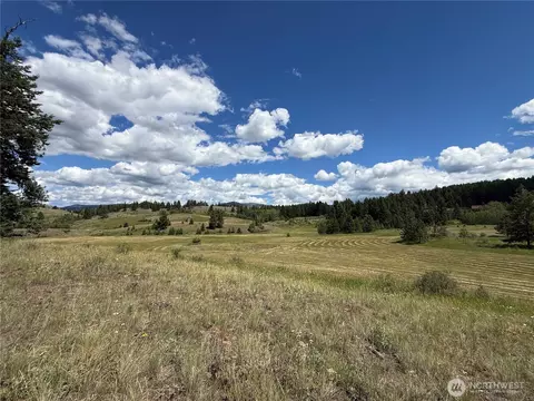 42 Tedesco Rd, Republic, WA 99166
