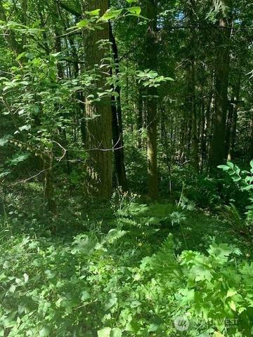 24829 SE Mirrormont Blvd, Issaquah, WA 98027
