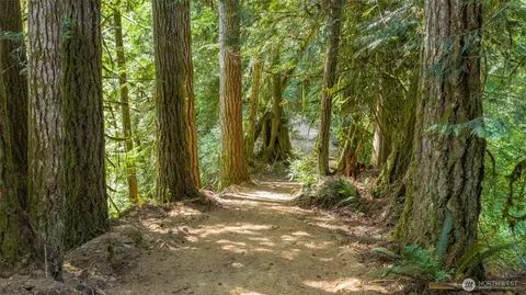 0 N Robinson Rd, Lilliwaup, WA 98555