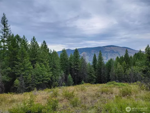 0 Dragons Lair Ln, Curlew, WA 99118